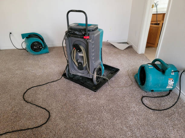 Best Emergency water damage restoration  in South Plainfield, NJ