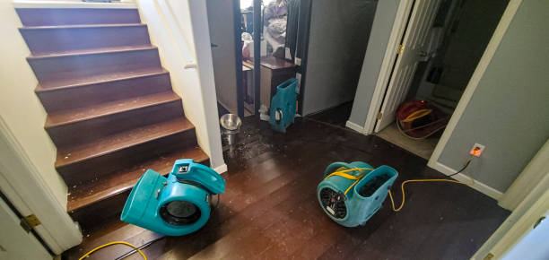 Best Local water damage restoration  in South Plainfield, NJ