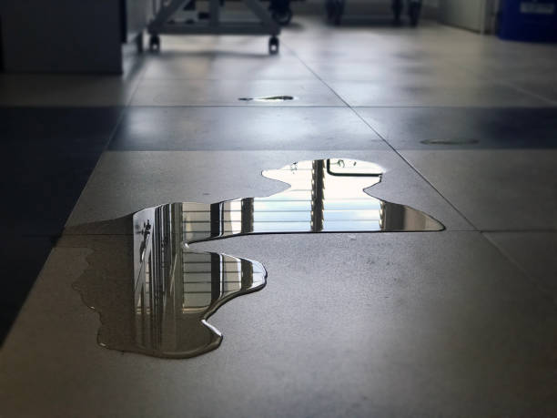 Best Water damage restoration specialists  in South Plainfield, NJ