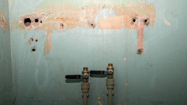Best Basement water damage restoration  in South Plainfield, NJ