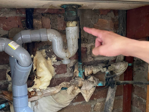 Best Carpet water damage restoration  in South Plainfield, NJ