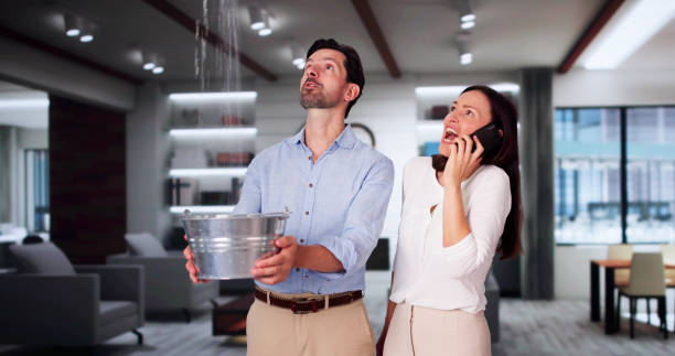 Best Flood restoration services  in South Plainfield, NJ